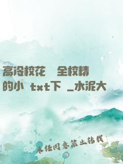 高冷?；S為全校精靈的小說txt下載