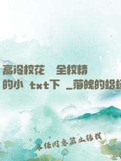高冷?；S為全校精靈的小說txt下載