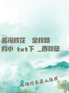 高冷?；S為全校精靈的小說txt下載