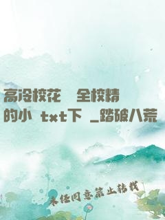 高冷?；S為全校精靈的小說txt下載