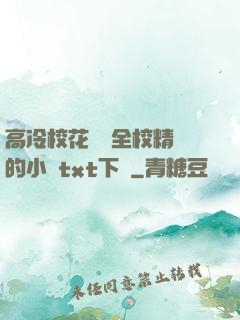 高冷?；S為全校精靈的小說txt下載