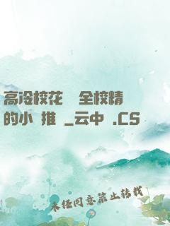 高冷?；S為全校精靈的小說推薦
