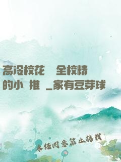 高冷?；S為全校精靈的小說推薦