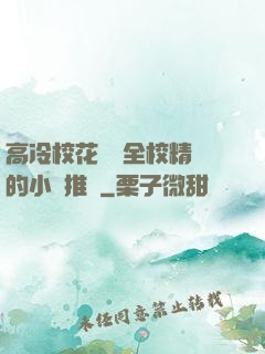 高冷?；S為全校精靈的小說推薦