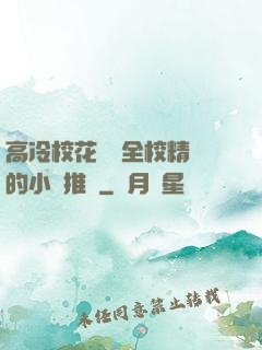 高冷?；S為全校精靈的小說推薦