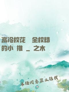 高冷?；S為全校精靈的小說推薦