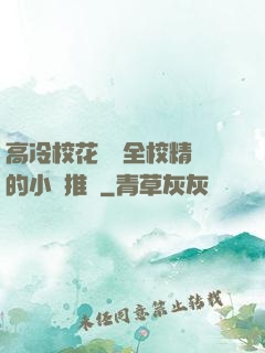 高冷?；S為全校精靈的小說推薦