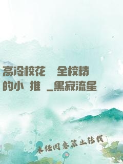 高冷?；S為全校精靈的小說推薦