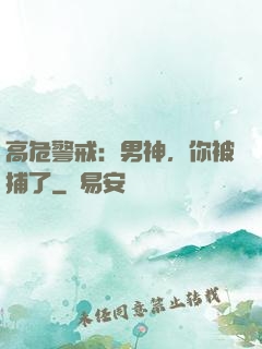 高危警戒：男神，你被捕了