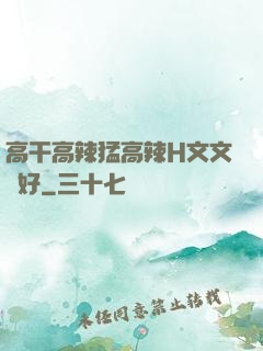 高干高辣猛高辣H文文筆好