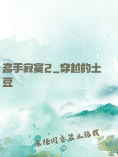 高手寂寞2