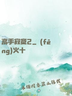 高手寂寞2