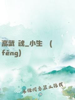高武槍魂