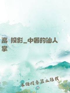 高維投影