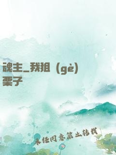 魂主