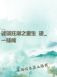 魂侵狂潮之重生問道