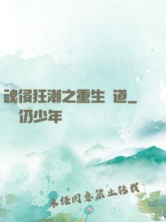 魂侵狂潮之重生問道