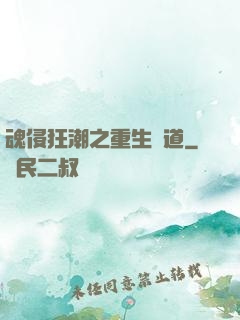 魂侵狂潮之重生問道