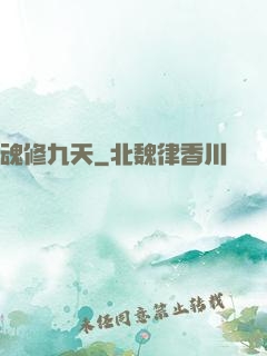魂修九天