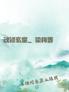 魂修玄皇