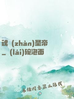 魂戰(zhàn)圣帝