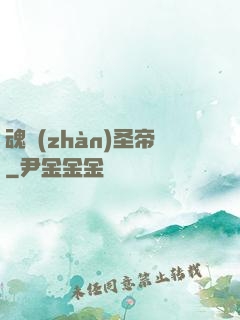魂戰(zhàn)圣帝