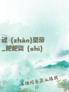 魂戰(zhàn)圣帝