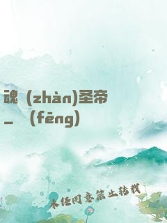 魂戰(zhàn)圣帝