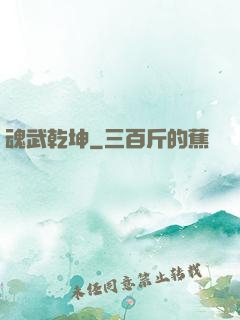 魂武乾坤