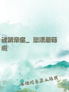 魂武帝皇