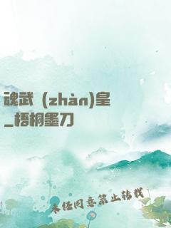 魂武戰(zhàn)皇