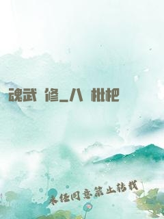 魂武雙修