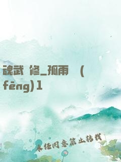 魂武雙修
