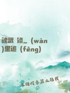 魂武雙修