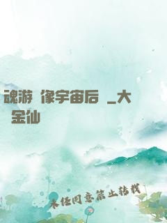 魂游鏡像宇宙后傳