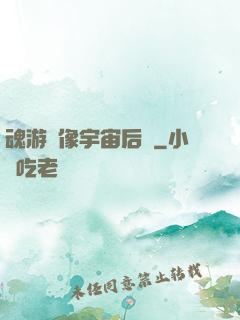魂游鏡像宇宙后傳
