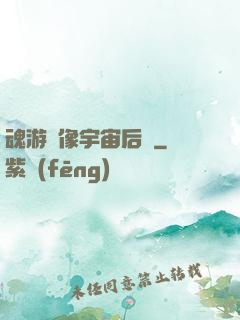 魂游鏡像宇宙后傳