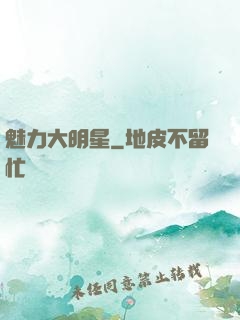 魅力大明星
