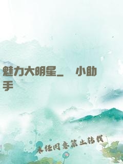 魅力大明星