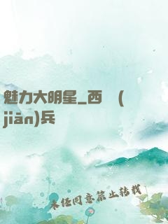 魅力大明星
