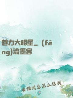 魅力大明星
