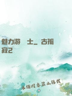 魅力游戲劍士
