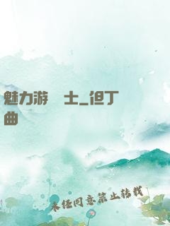 魅力游戲劍士
