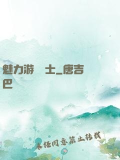 魅力游戲劍士