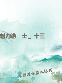 魅力游戲劍士