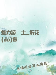 魅力游戲劍士
