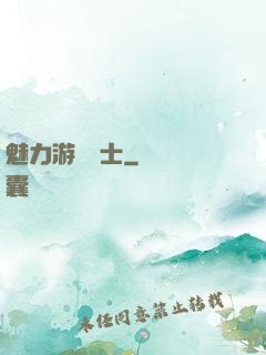 魅力游戲劍士