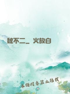 魏不二