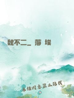 魏不二