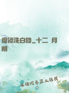 魔修洗白路